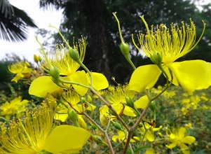 ��(j��ng)�^(gu��)̫�(y��ng)�ܚ��x�����κ�Ľ��y��