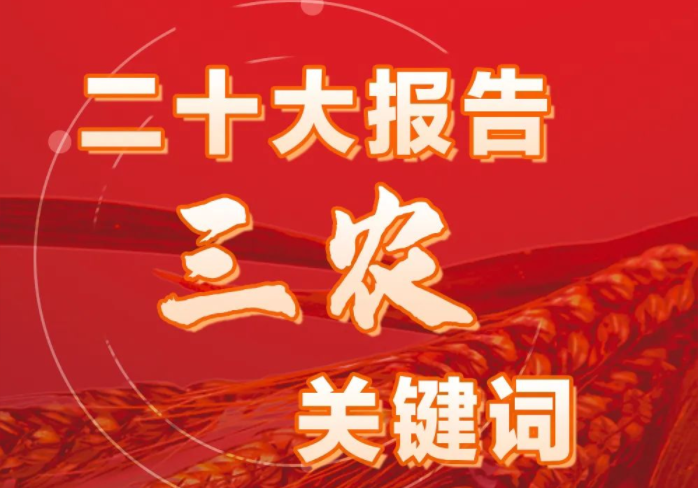 一圖速覽|二十大報(bào)告中的三農(nóng)關(guān)鍵詞