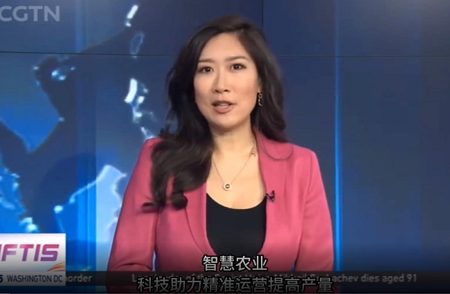 中國國際新聞CGTN 、央視《端牢中國飯碗》節(jié)目相繼報(bào)道安陽高標(biāo)準(zhǔn)農(nóng)田示范區(qū)