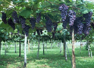 ��(j��ng)�^̫��ܚ��x�����κ������