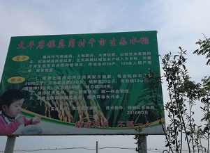 Ī����ˮ������