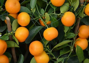 ��(j��ng)�^̫��ܚ��x�����κ������